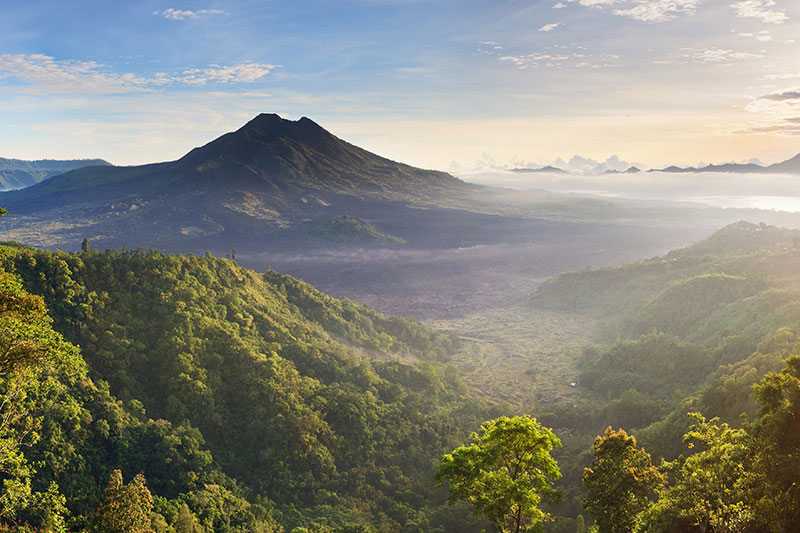 A scenic view of the lush green Bali Kintamani valley with dense trees in the foreground and a large mountain rising in the background under a partly cloudy sky at sunrise or sunset.